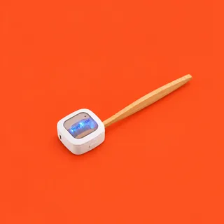 BrushSan